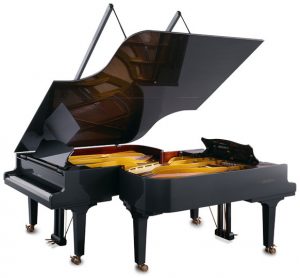 10 سازنده برتر پیانو، گروترین اشتاینوگ - Gortrian Steinweg